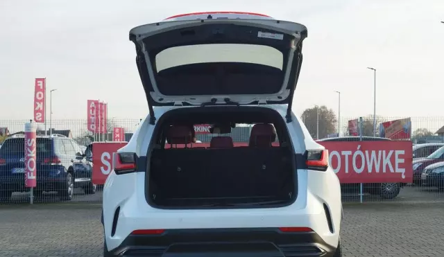 LEXUS NX 450h+ (309 KM) Plug-in Hybrid AWD CVT