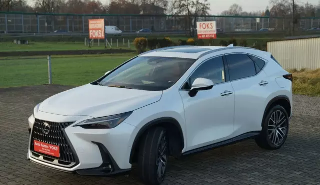 LEXUS NX 450h+ (309 KM) Plug-in Hybrid AWD CVT