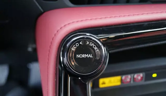 LEXUS NX 450h+ (309 KM) Plug-in Hybrid AWD CVT