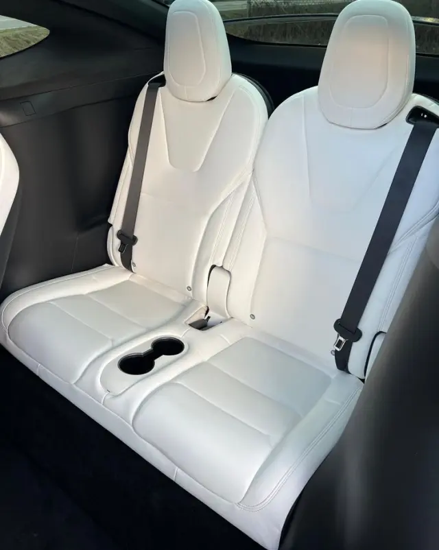 TESLA Model X P 100 D