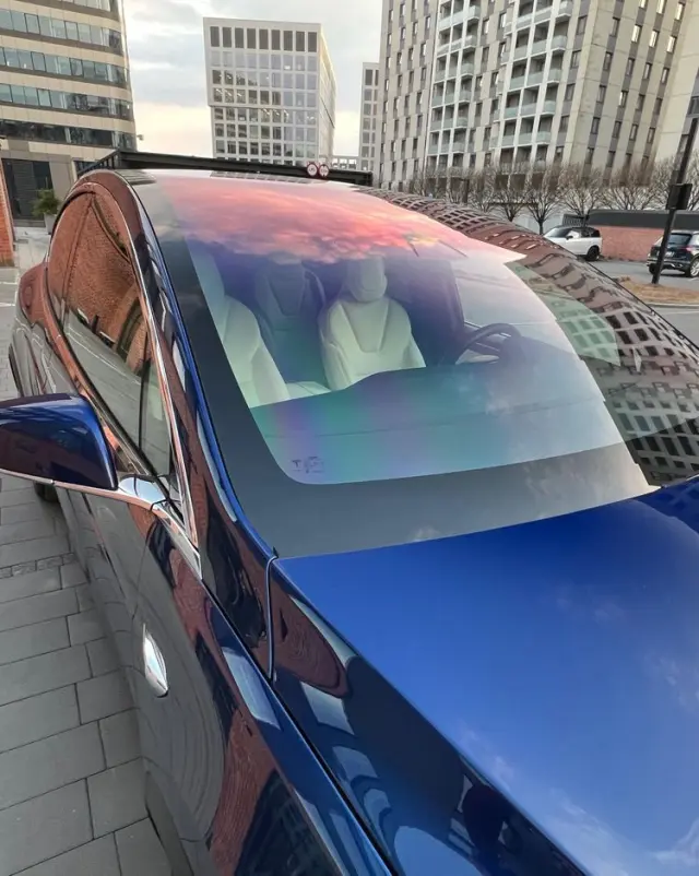 TESLA Model X P 100 D