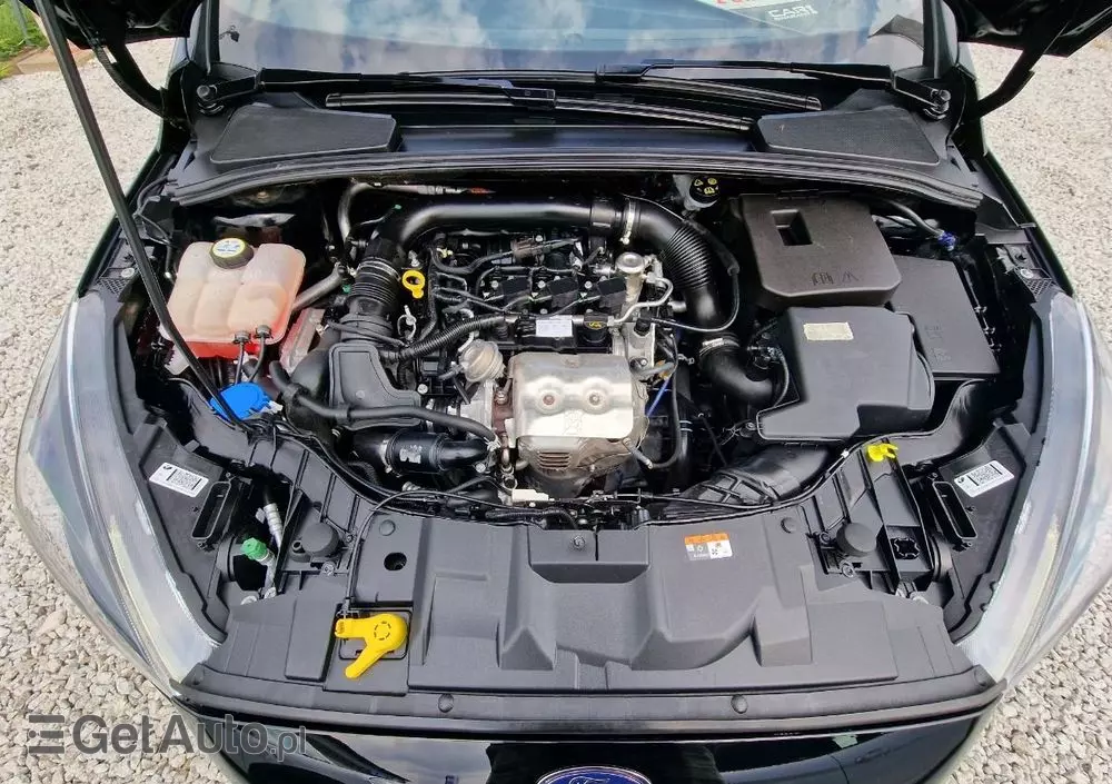 FORD Focus 1.0 EcoBoost ST-Line Red ASS