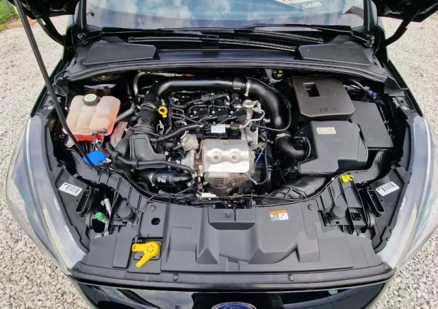 FORD Focus 1.0 EcoBoost ST-Line Red ASS