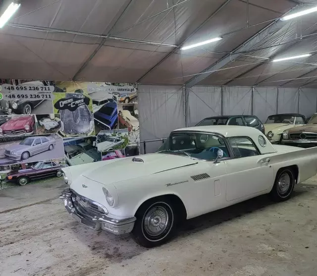 FORD Thunderbird 