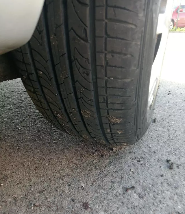 FORD Fusion 1.4 Duratec (80 KM)