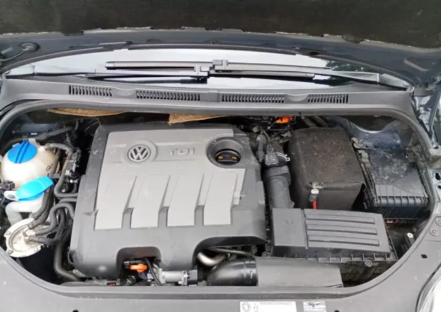 VOLKSWAGEN Golf Plus 1.6 TDI DPF Trendline