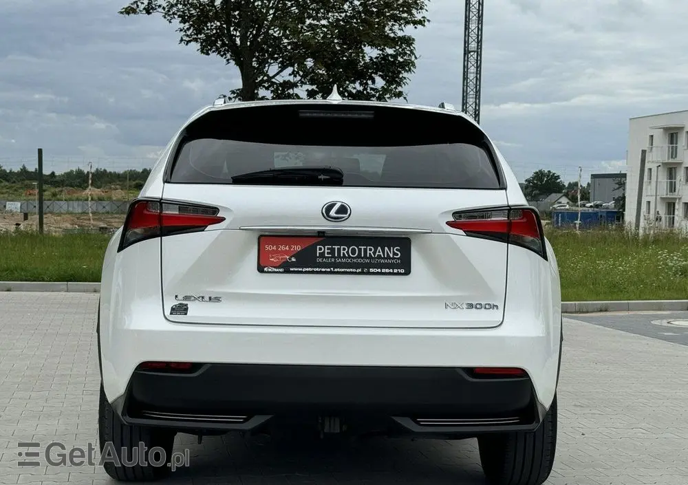 LEXUS NX 