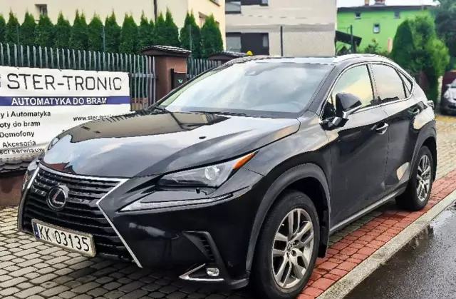 LEXUS NX 