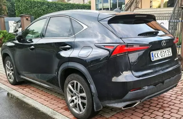 LEXUS NX 