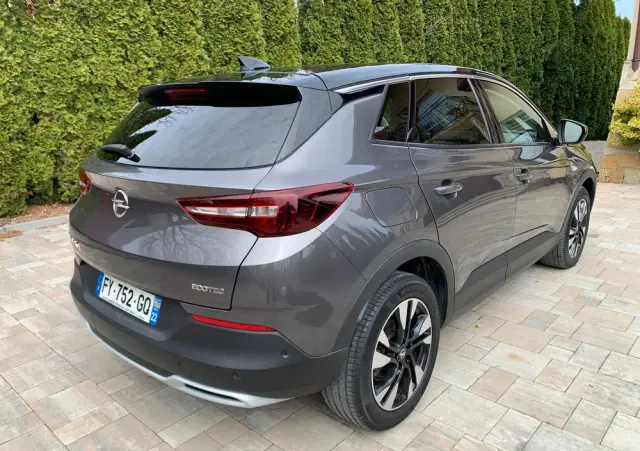 OPEL Grandland X 1.2 T GPF Elegance Business Pack S&S