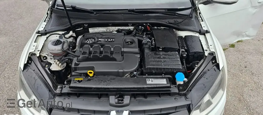 VOLKSWAGEN Golf 1.6 TDI BlueMotion Technology DSG Allstar