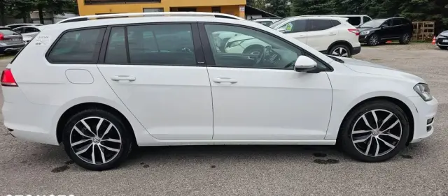 VOLKSWAGEN Golf 1.6 TDI BlueMotion Technology DSG Allstar