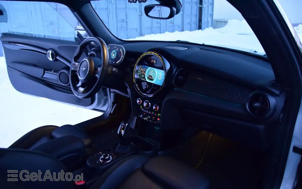 MINI Cooper SE Electric Trim