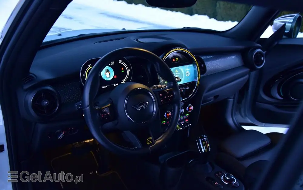 MINI Cooper SE Electric Trim