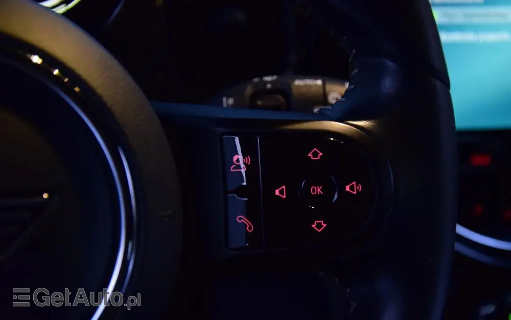 MINI Cooper SE Electric Trim