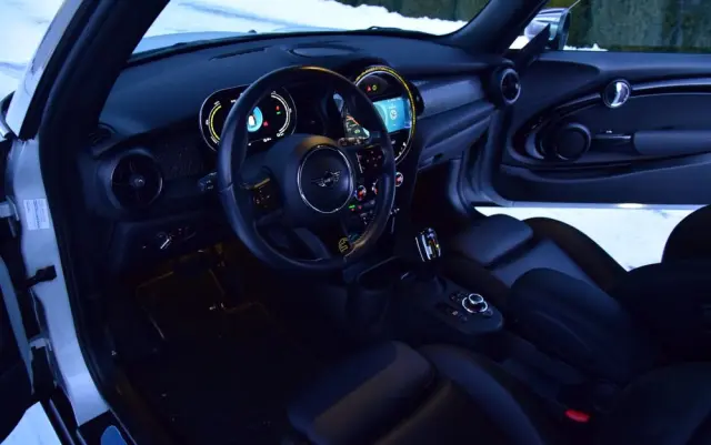 MINI Cooper SE Electric Trim