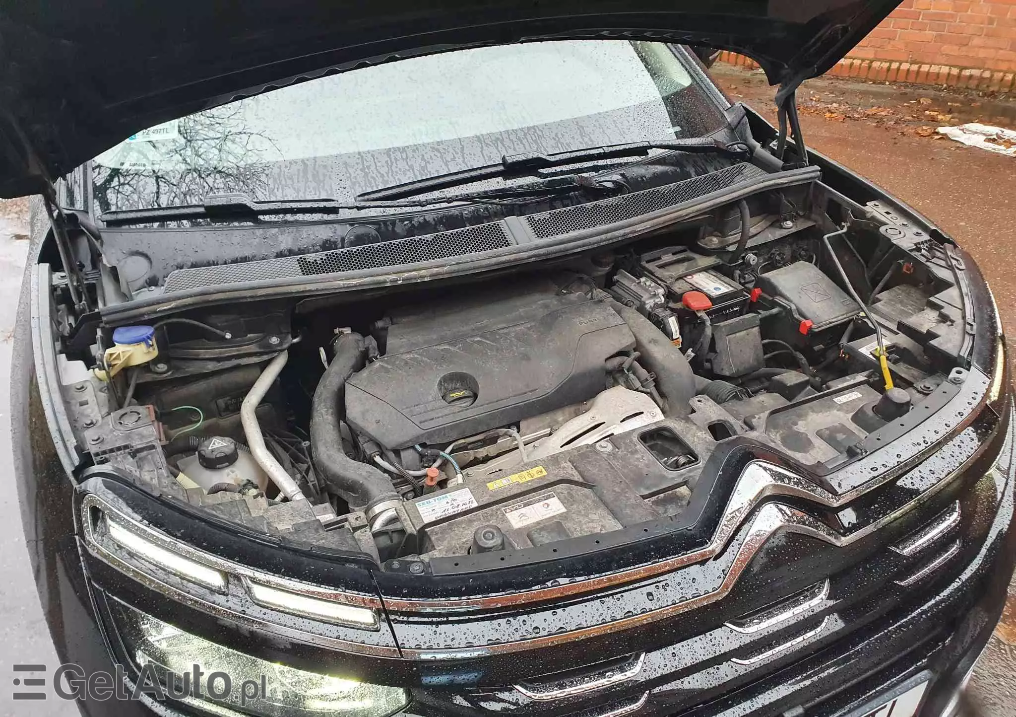 CITROËN C5 Aircross Pure Tech 180 S&S EAT8 SHINE PACK