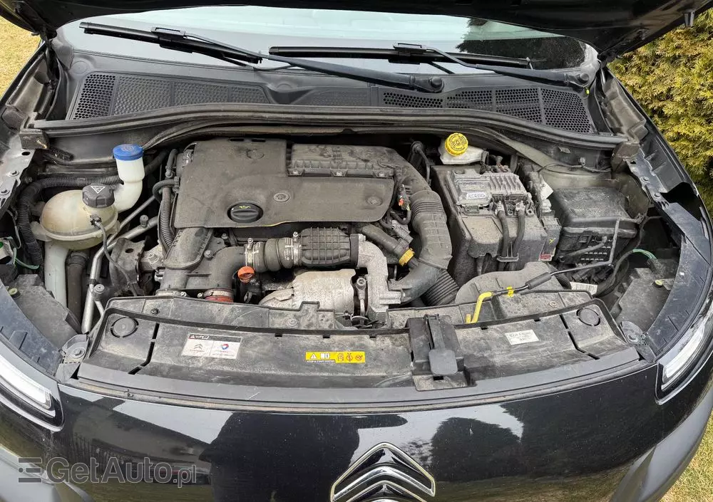 CITROËN C4 Cactus BlueHDi 100 Stop&Start Feel Edition