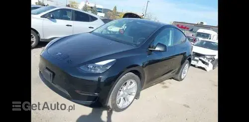 TESLA Y 