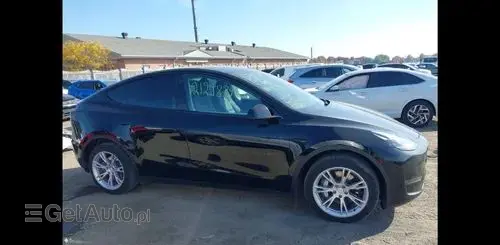 TESLA Y 