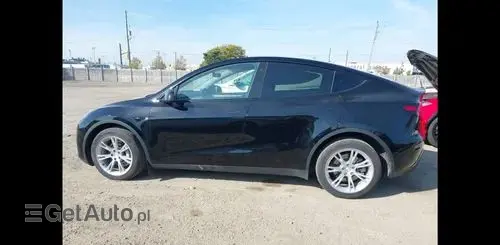 TESLA Y 