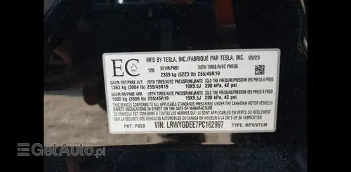 TESLA Y 