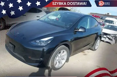 TESLA Y 