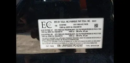 TESLA Y 