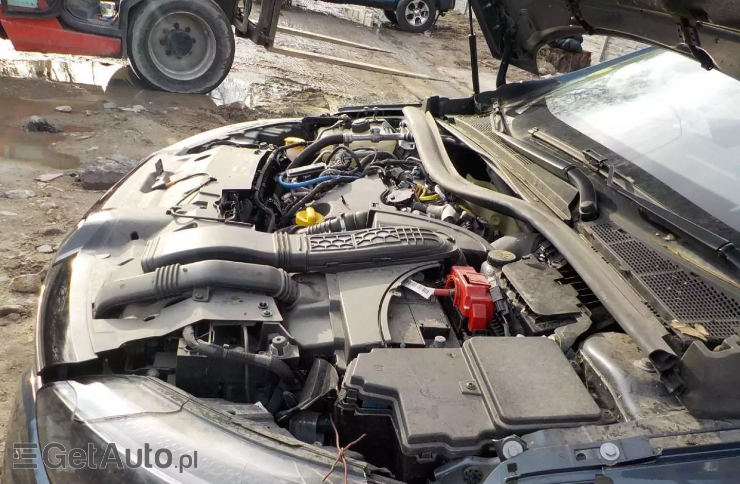 RENAULT Megane 1.5 Blue dCi Techno