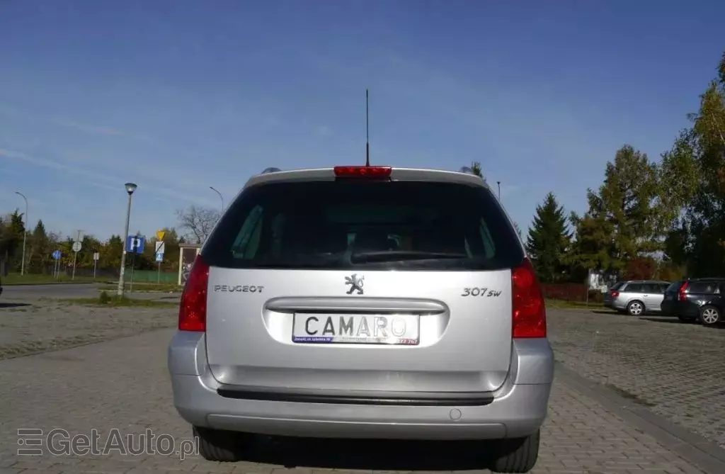 PEUGEOT 307 