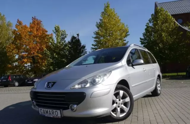 PEUGEOT 307 