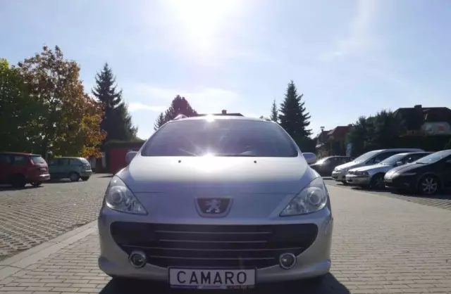 PEUGEOT 307 