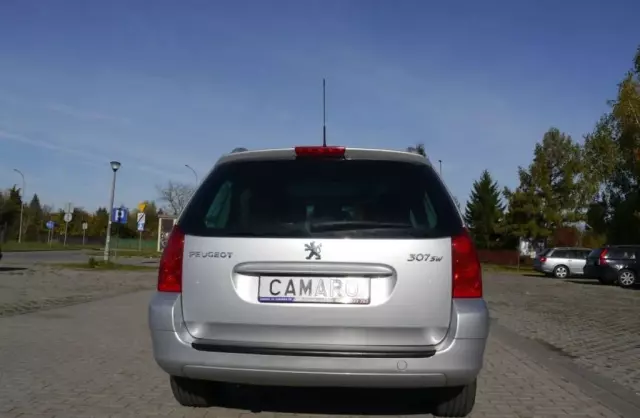 PEUGEOT 307 