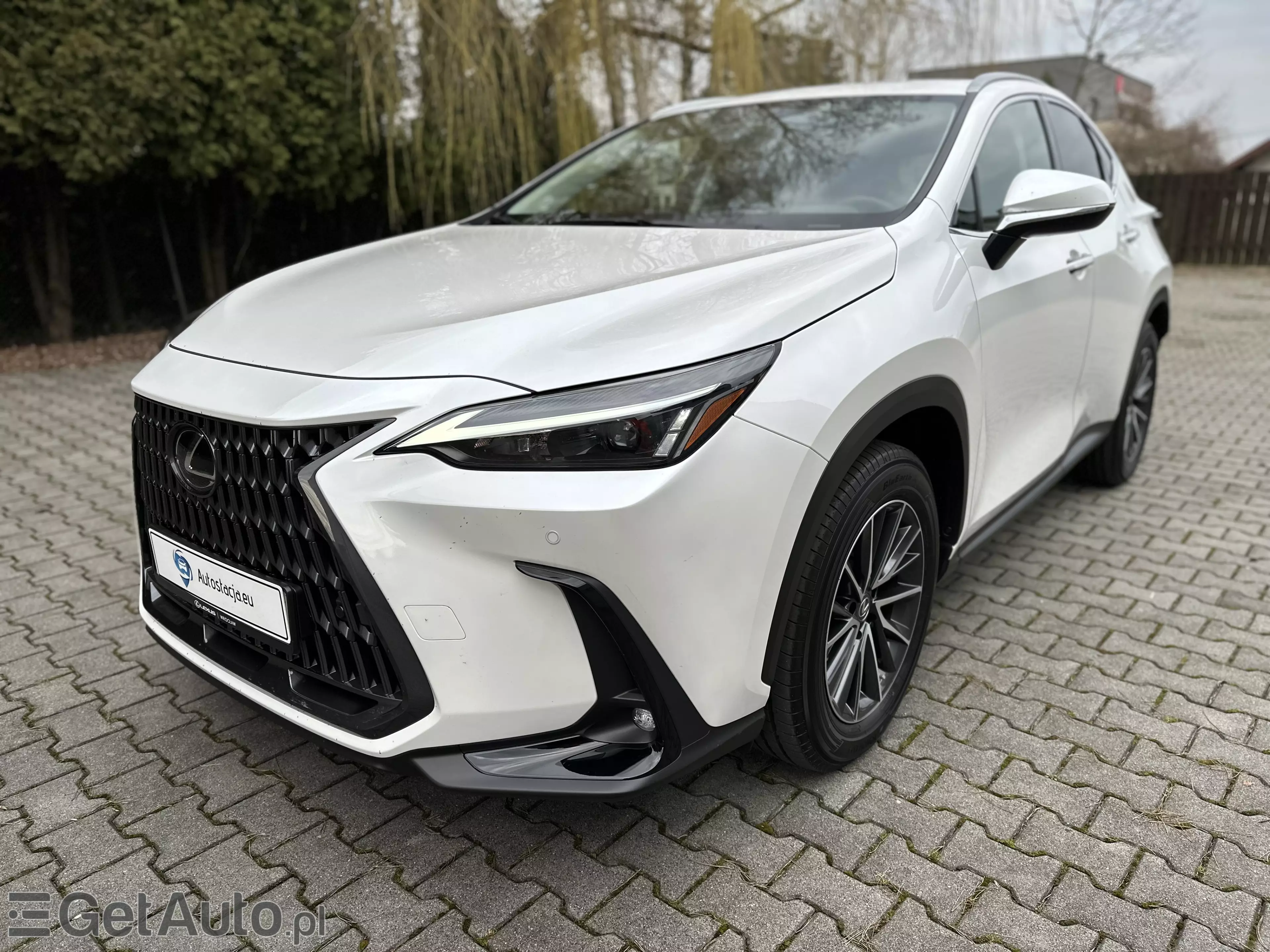 LEXUS NX Business CVT