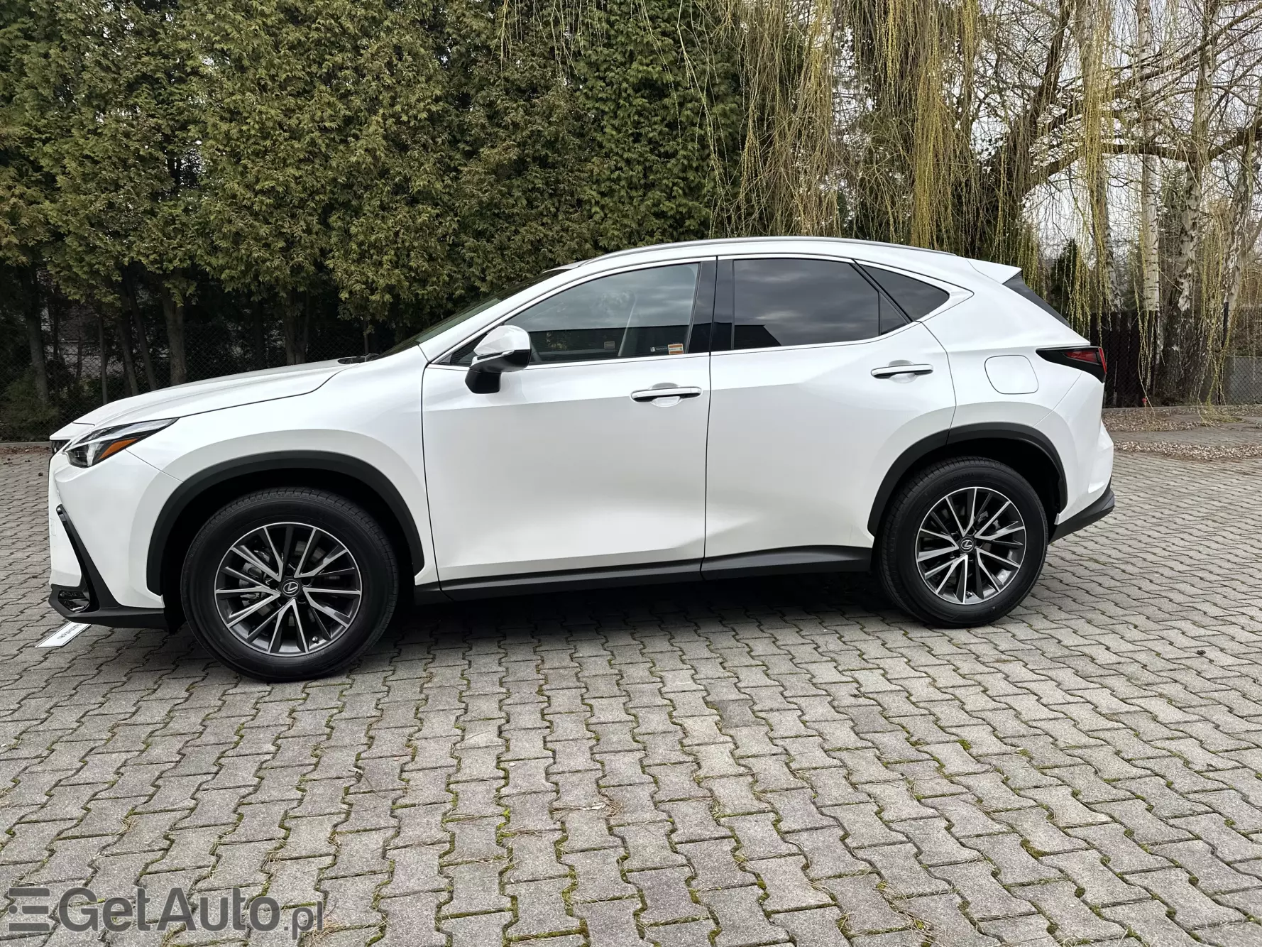 LEXUS NX Business CVT
