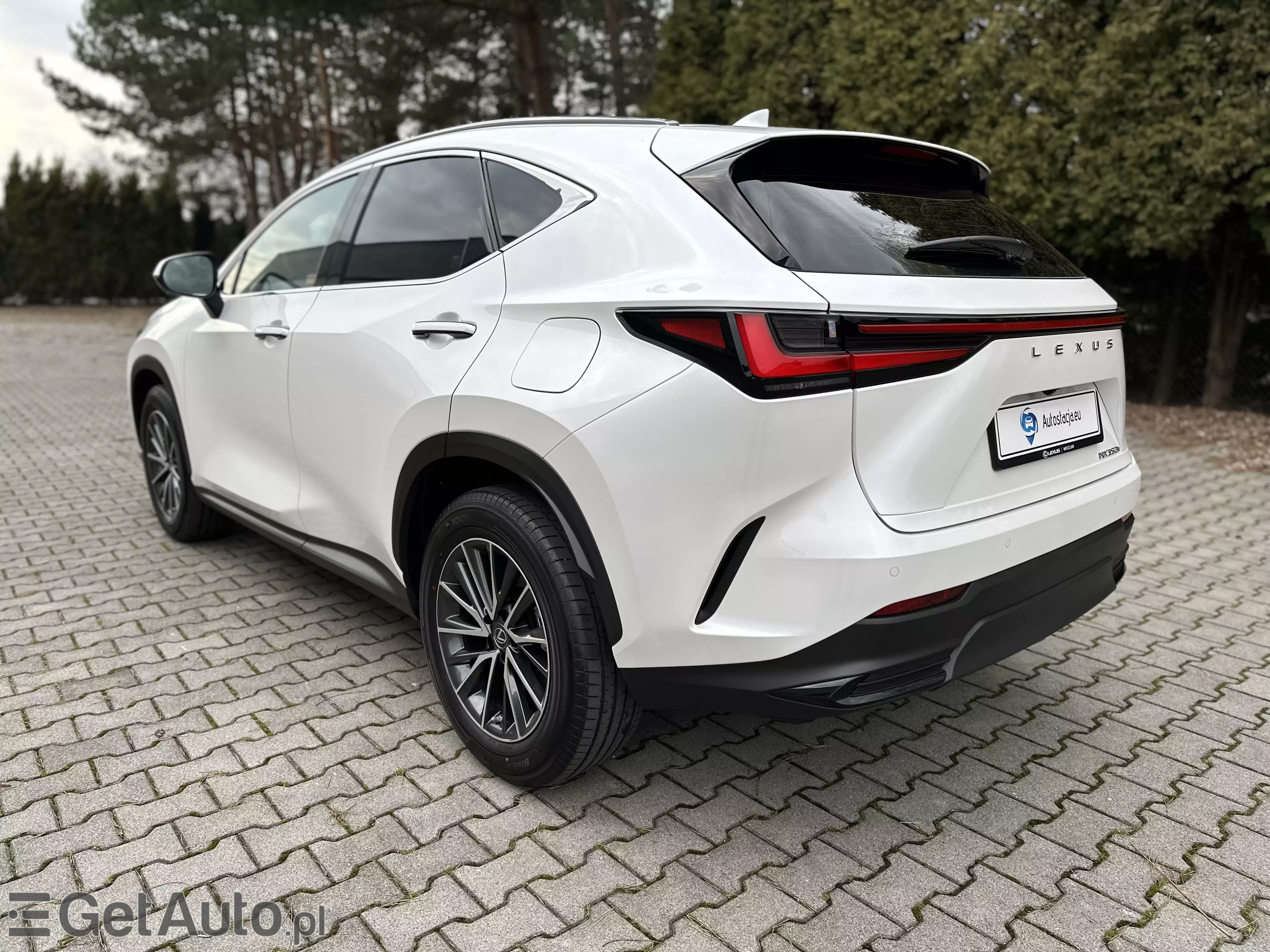LEXUS NX Business CVT