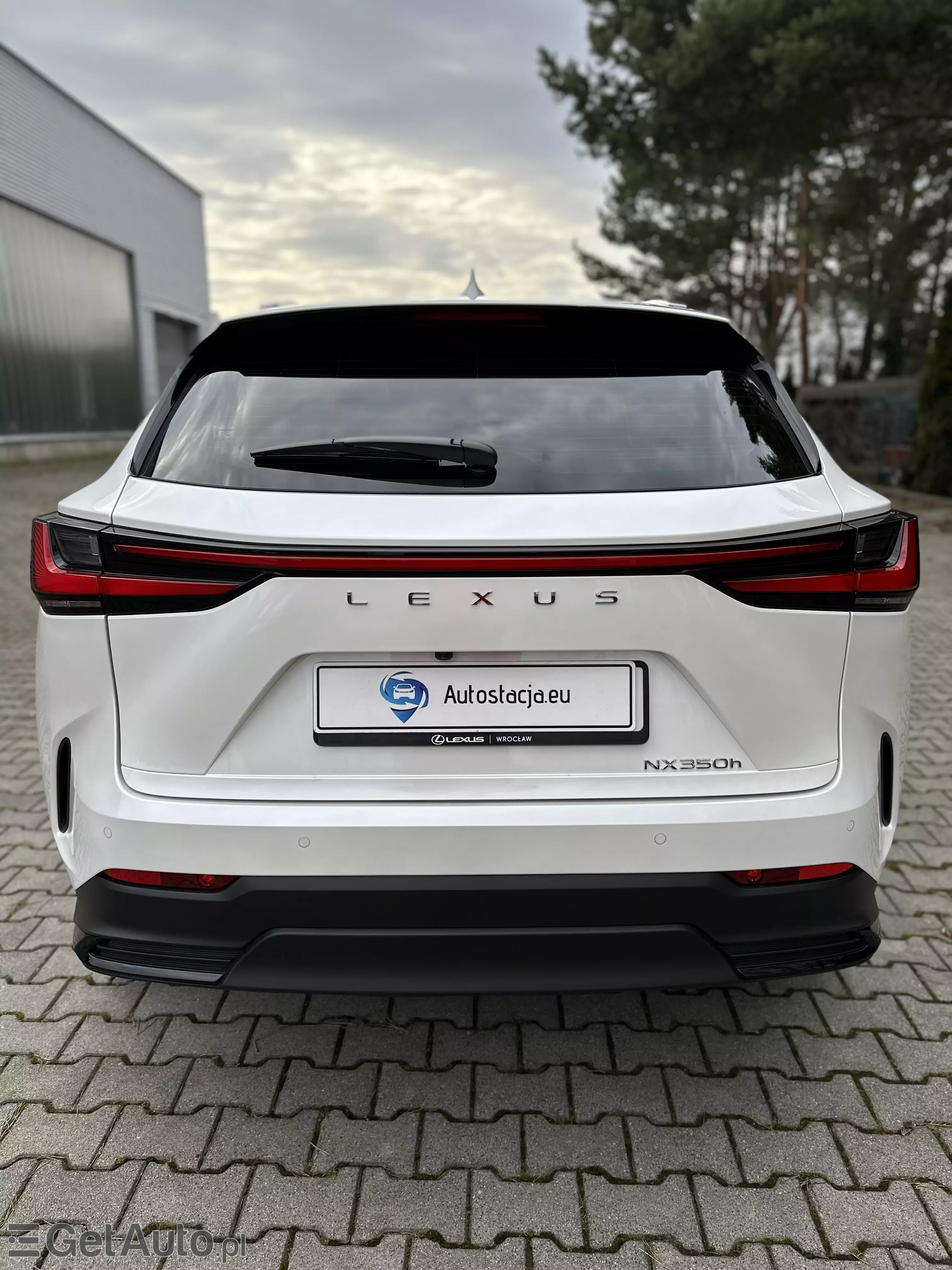 LEXUS NX Business CVT
