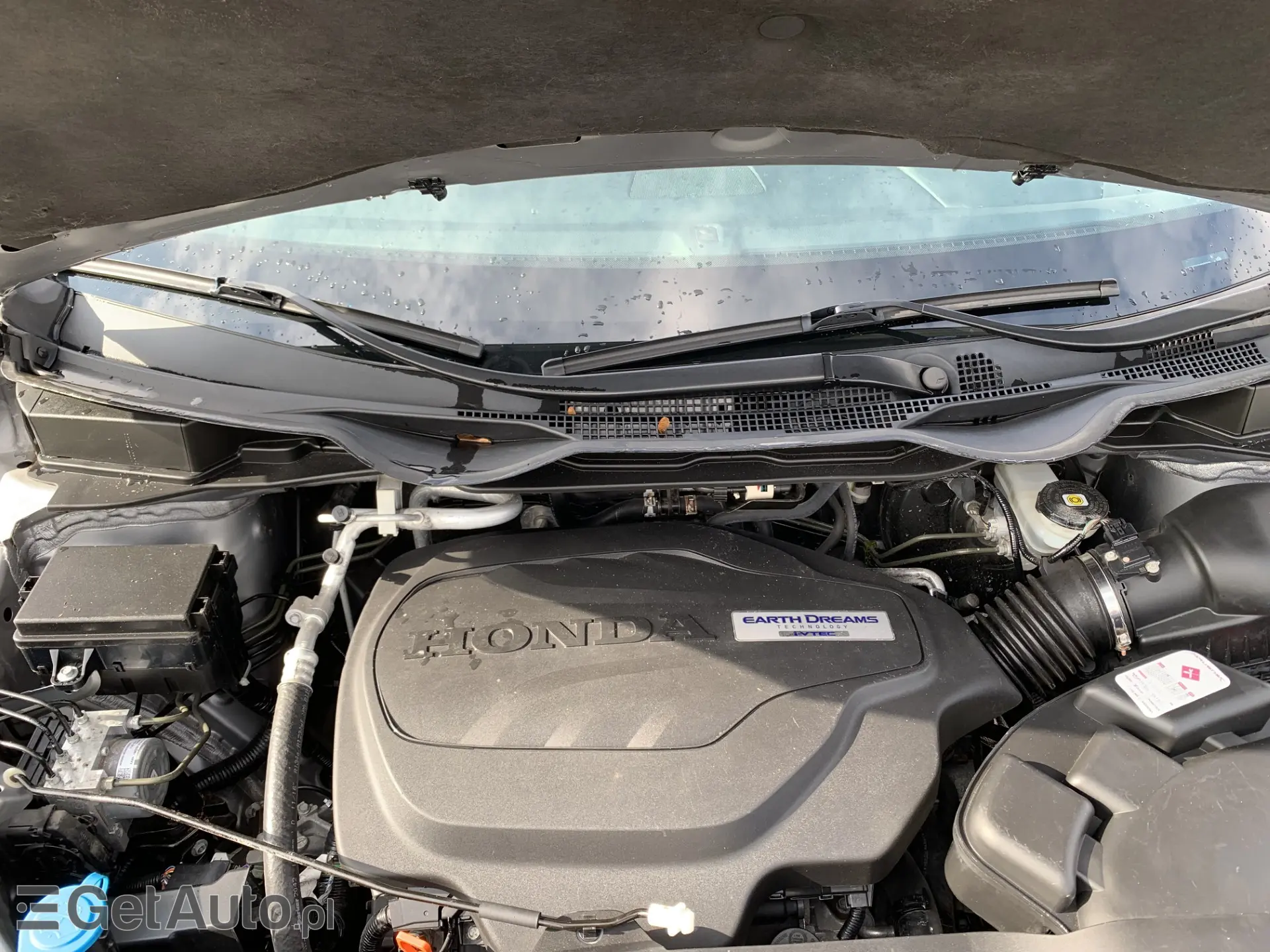 HONDA ODYSSEY 