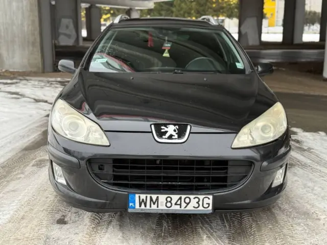PEUGEOT 407 