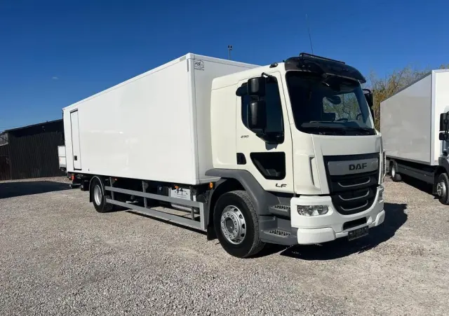 DAF LF 290 / Chłodnia / Euro 6 / Winda / 