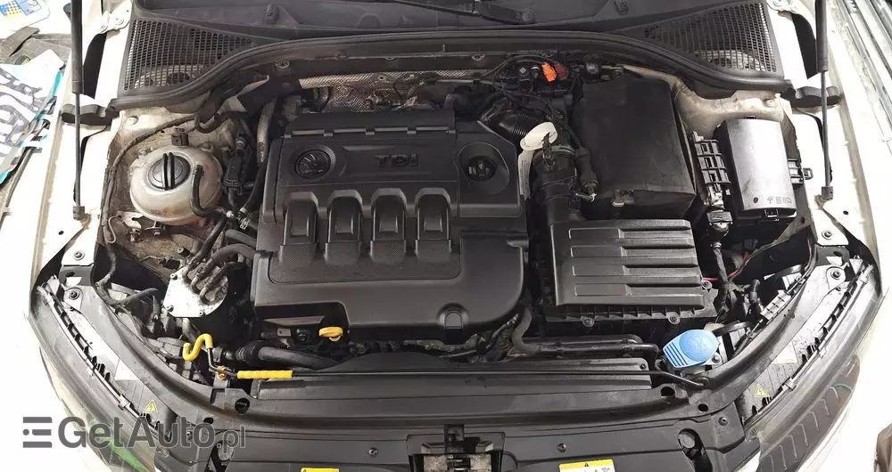 SKODA Octavia 2.0 TDI (Green tec) DSG L&K