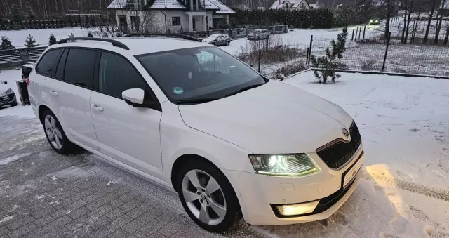 SKODA Octavia 2.0 TDI (Green tec) DSG L&K