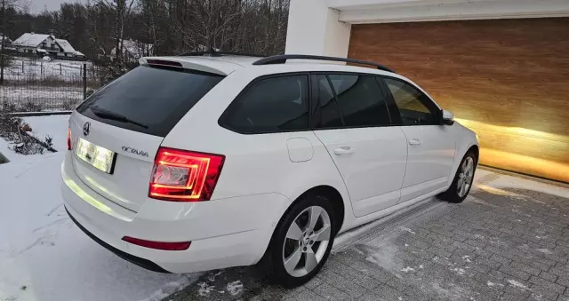 SKODA Octavia 2.0 TDI (Green tec) DSG L&K