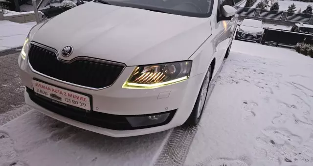 SKODA Octavia 2.0 TDI (Green tec) DSG L&K