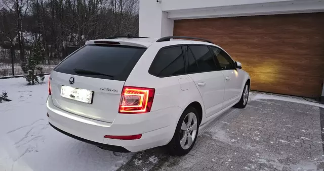 SKODA Octavia 2.0 TDI (Green tec) DSG L&K