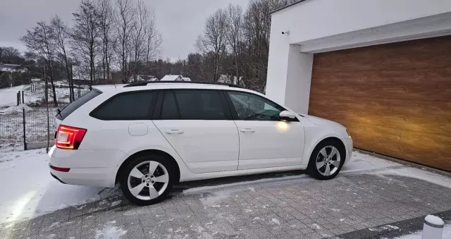 SKODA Octavia 2.0 TDI (Green tec) DSG L&K