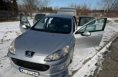 PEUGEOT 407 