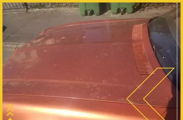 PONTIAC Firebird 5.7 V8 