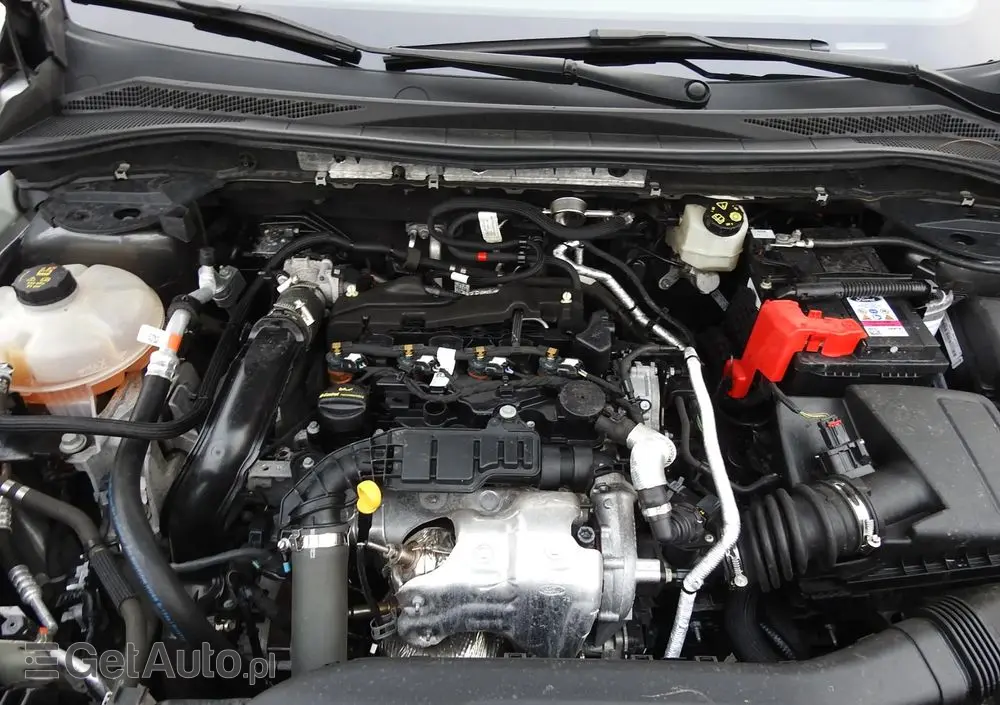 FORD Kuga 1.5 EcoBlue ST-LINE