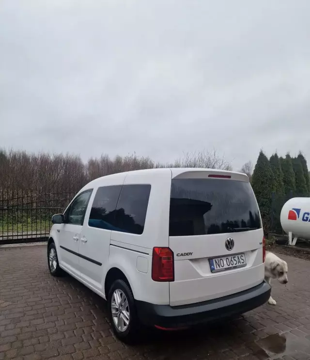 VOLKSWAGEN Caddy California 